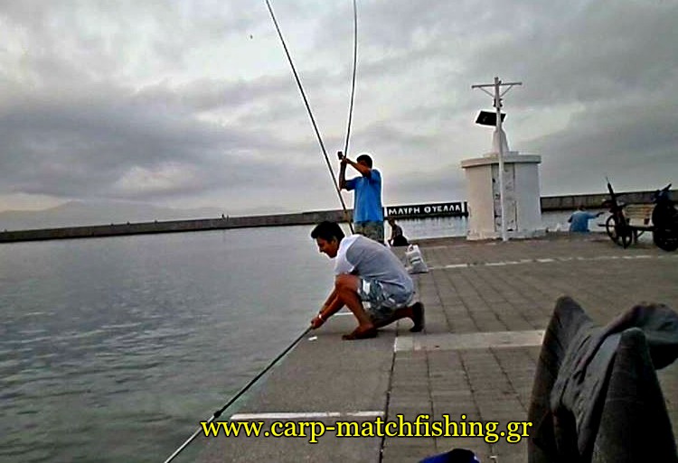 apoxiasma-matchfishing-kefalos-mullet-carpmatchfishing