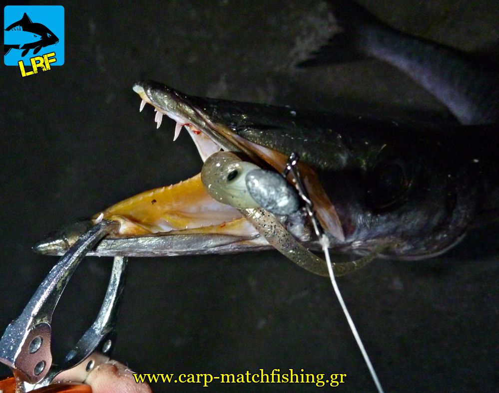 loutsos stoma silikoni grip light rock fishing lrf hrf carpmatchfishing