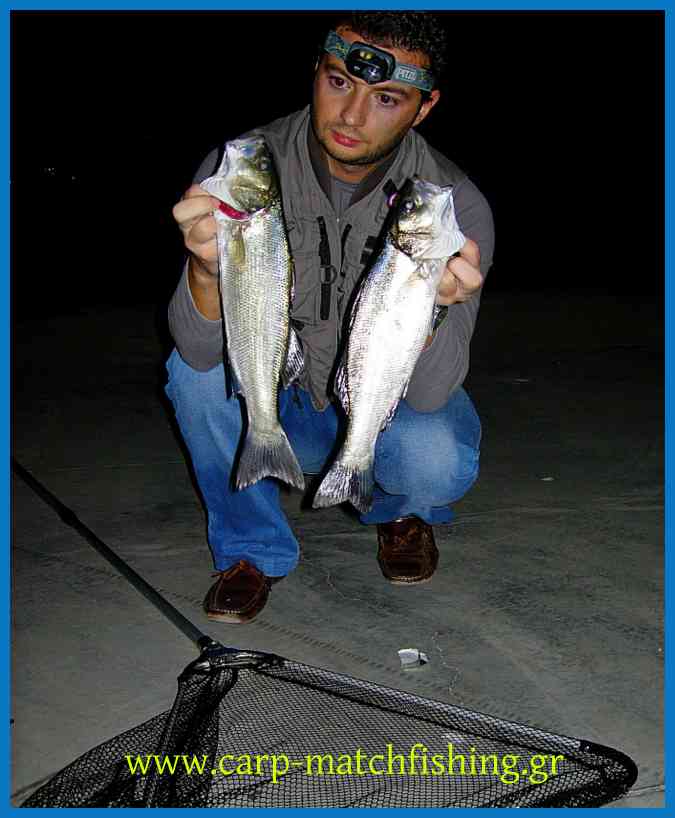www.carp-matchfishing.gr. Τα πάντα για το ψάρεμα σε θάλασσα και στα γλυκά νερά. Τεχνικές matchfishing, bolognese, spinning, eging, carpfishing, casting