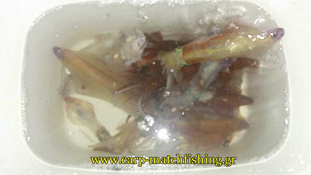 bait-boat0fishing-kalamaria-carpmatchfishing