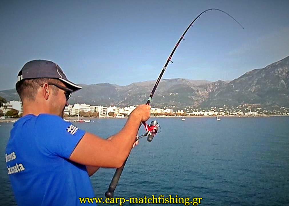 match-fishing-kefaloi-curve-rod-3-carpmatchfishing