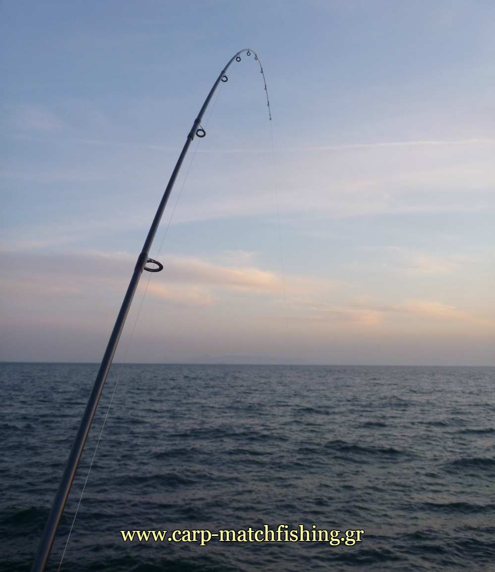 lrf-eging-paravoli-rod-carpmatchfishing