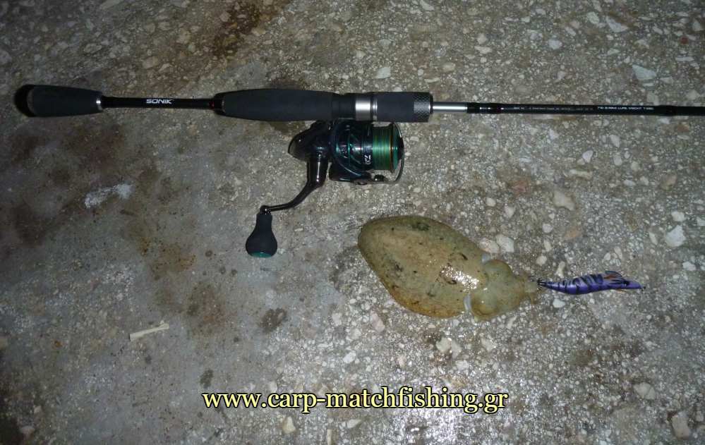 lrf-eging-soupia-carpmatchfishing