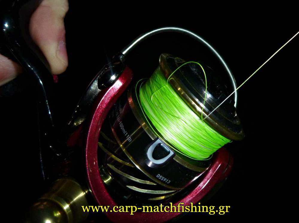 bid-nest-in-the-reel-spool-carpmatchfishing