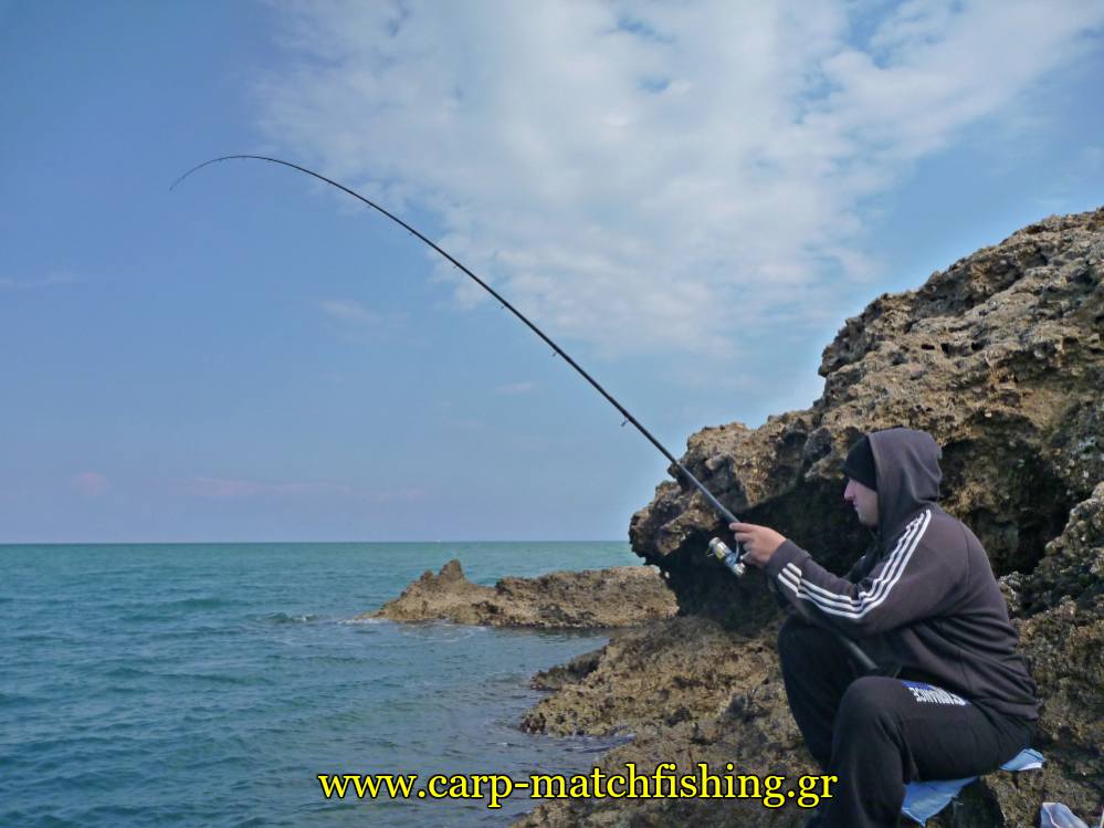 match-fishing-rod-curve-malagra-angry-fish-carpmatchfishing