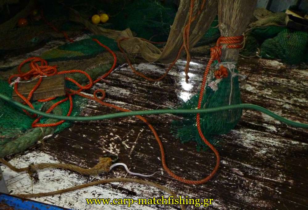 petamena psaria mougria kouverta tratas carpmatchfishing