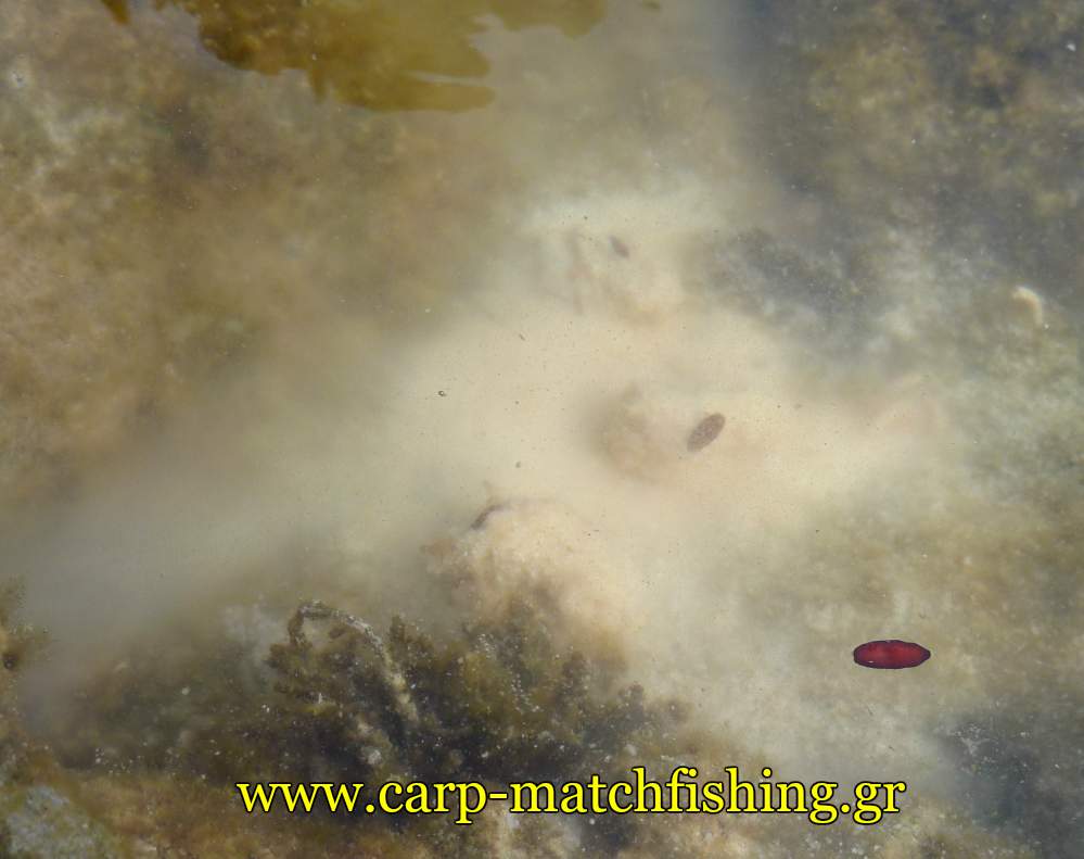 malagra-nefos-light-rock-fishing-carpmatchfishing