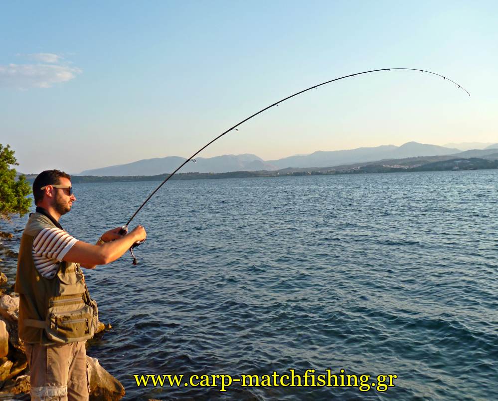ajing lrf horse mackerel rod curve metal jigs carpmatchfishing