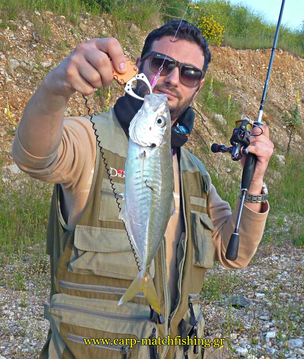 light-rock-fishing-for-horse-mackerel-carpmatchfishing