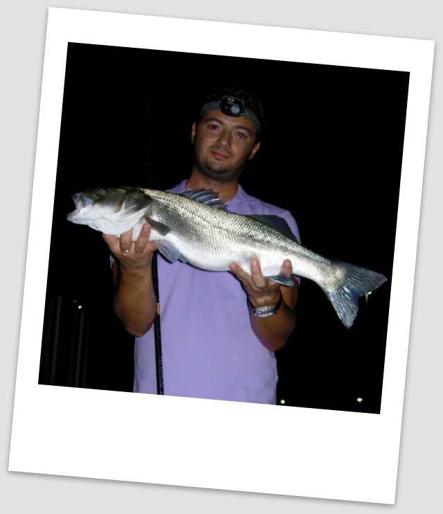 sfaltos-match-fishing-labraki