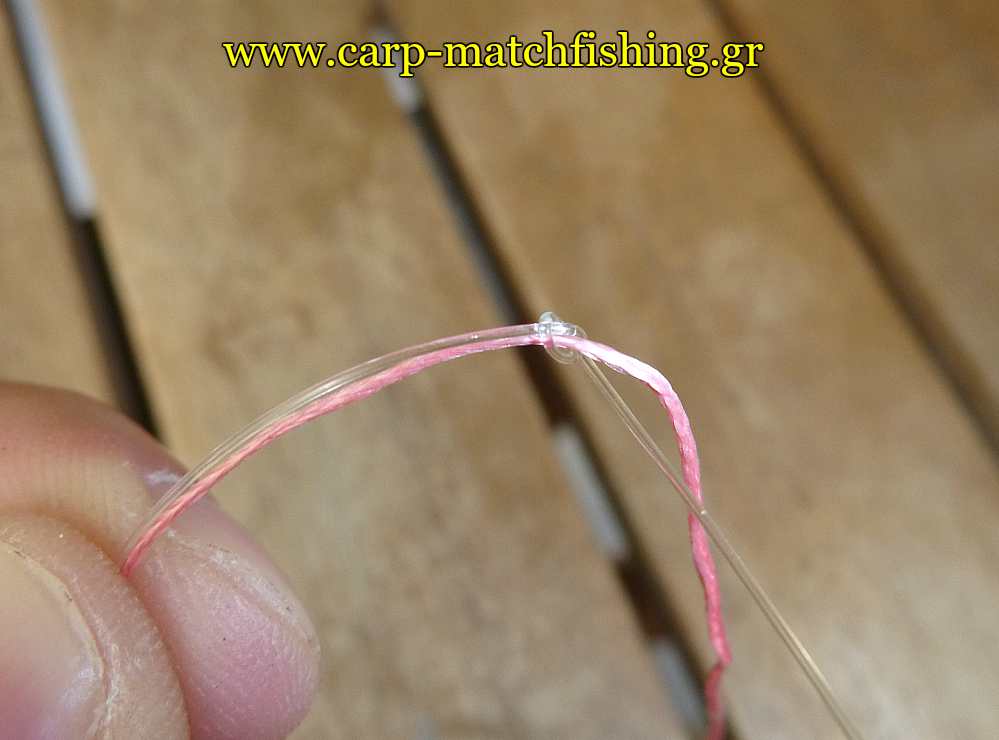 tony-pena-sfiksimo-kompou-carpmatchfishing