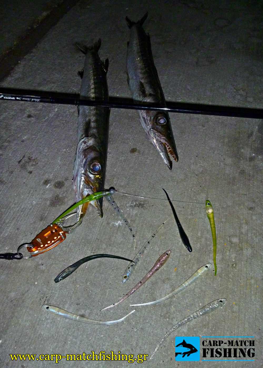 silikones lrf loytsoi 2 lighr rock fishing sportex black arrow carpmatchfishing