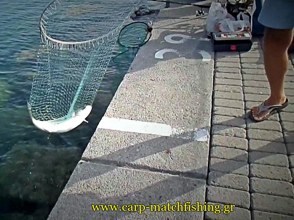 match-fishing-kefalos-stin-apoxi-carpmatchfishing