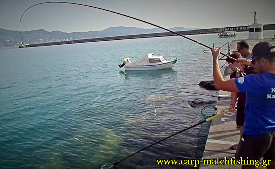kefalos-match-fishing-big-curve-carpmatchfishing