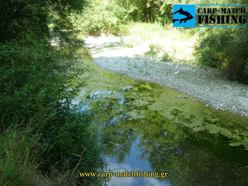 limazon ner se potami katastrofi carpmatchfishing