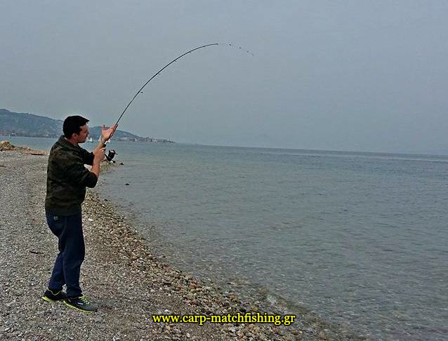 eging-cuttlefish-rod-papa-carpmatchfishing