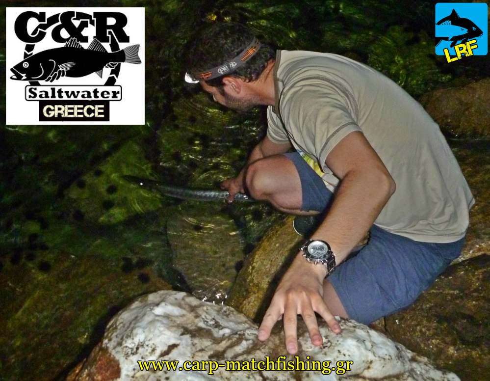 catch and release loutsos lrf light rock fishing carpmatchfishing