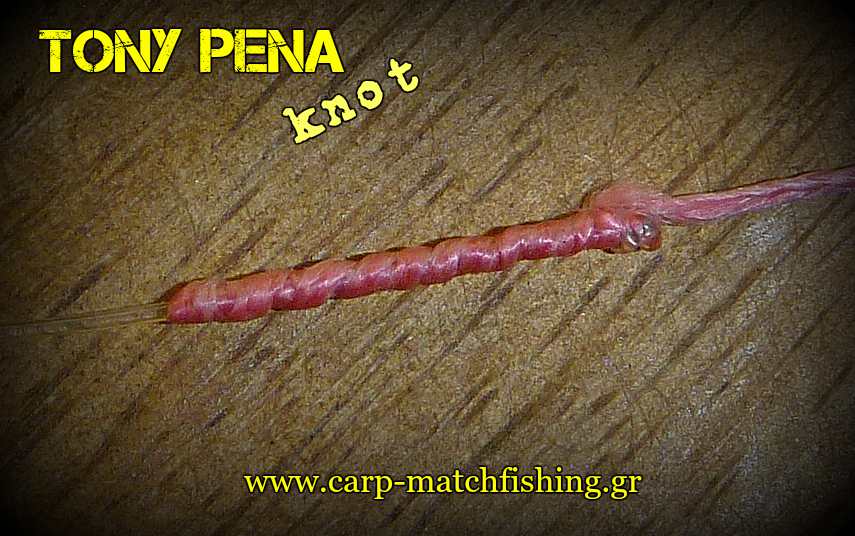 tony-pena-knot-spinning-carpmatchfishing