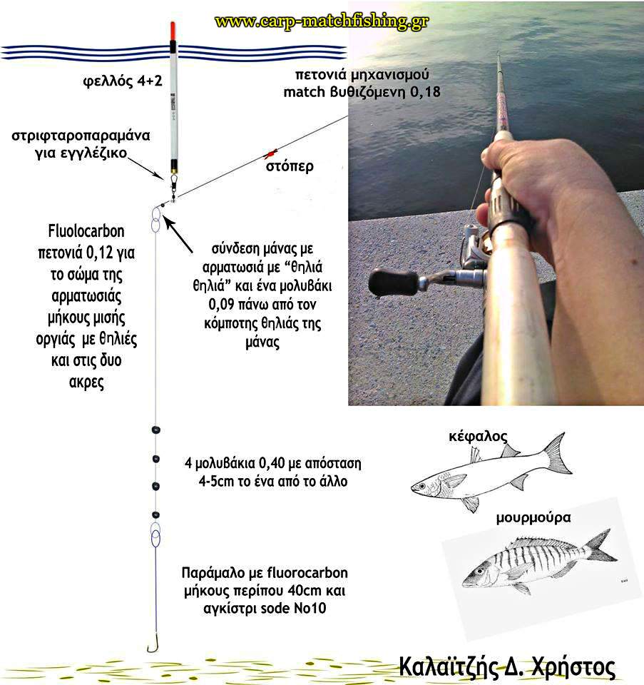 kefalos-mullet-match-rig-armatosia-matchfishing-carpmatchfishing
