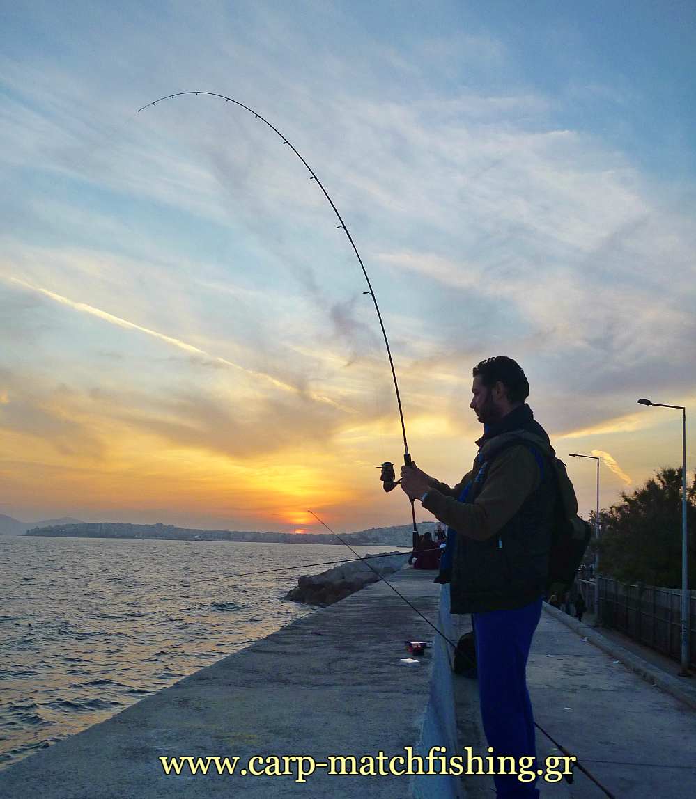 lrf-eging-curve-carpmatchfishing