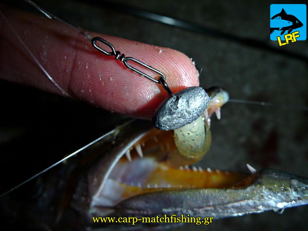 lrf silikoni loutsos paramana fuji carpmatchfishing