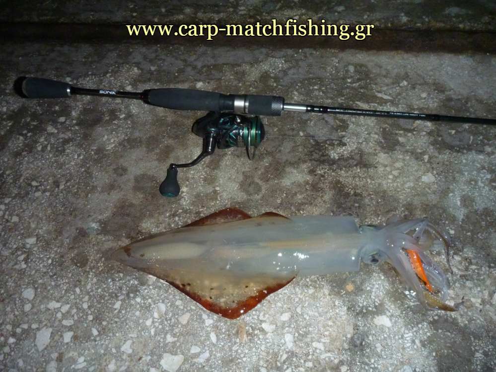 lrf-eging-rod-carpmatchfishing