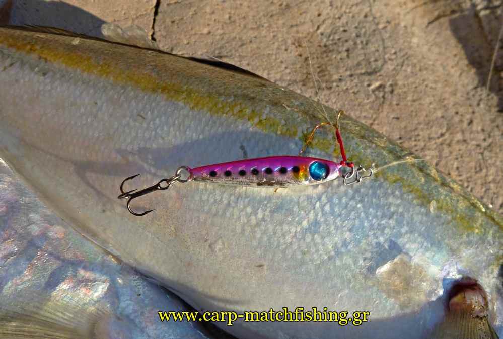 ajing-me-planous-hayabusa-finder-carpmatchfishing