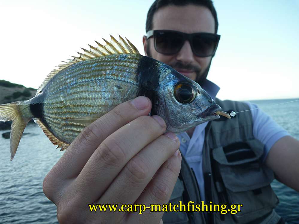 aylias-sfaltos-xantra-match-carpmatchfishing