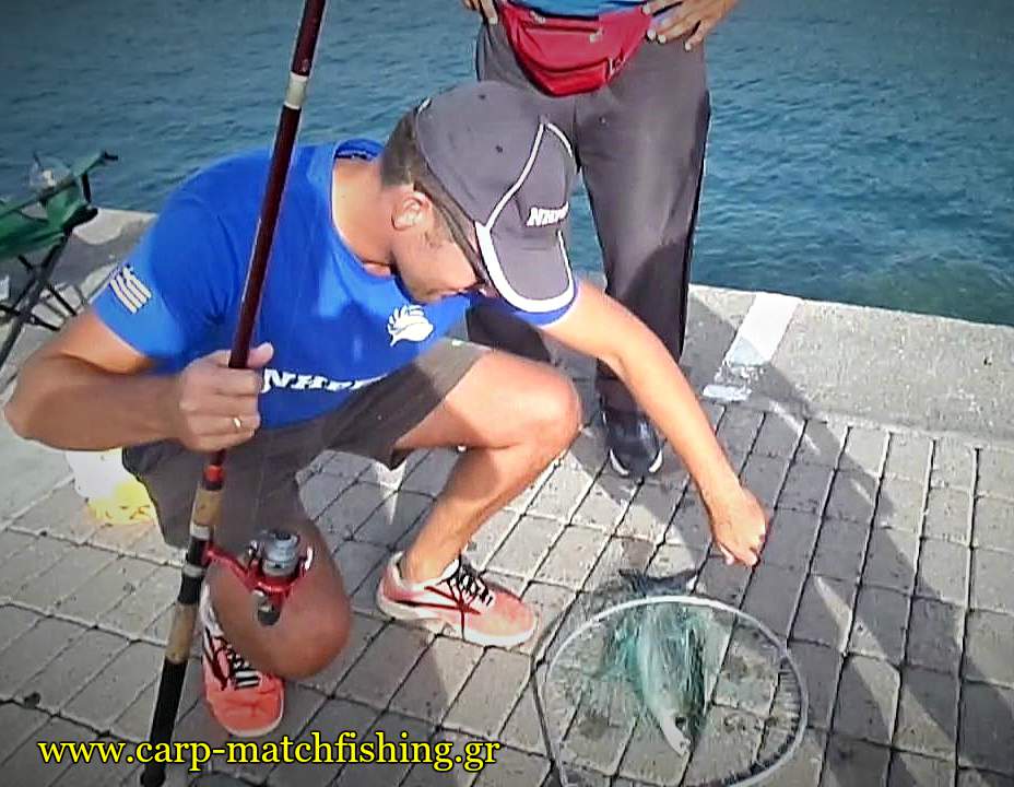 kefalos-match-stin-apoxi-carpmatchfishing