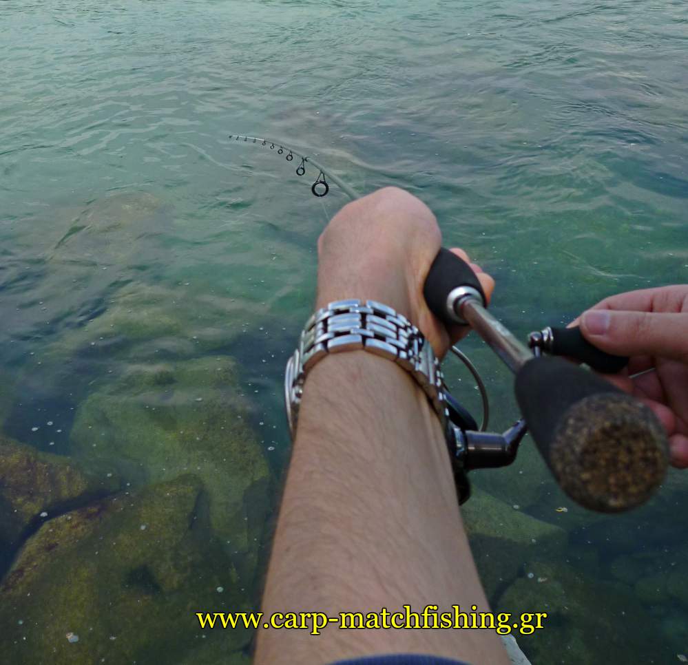 ajing-lrf-pleysi-gia-kokkalia-carpmatchfishing