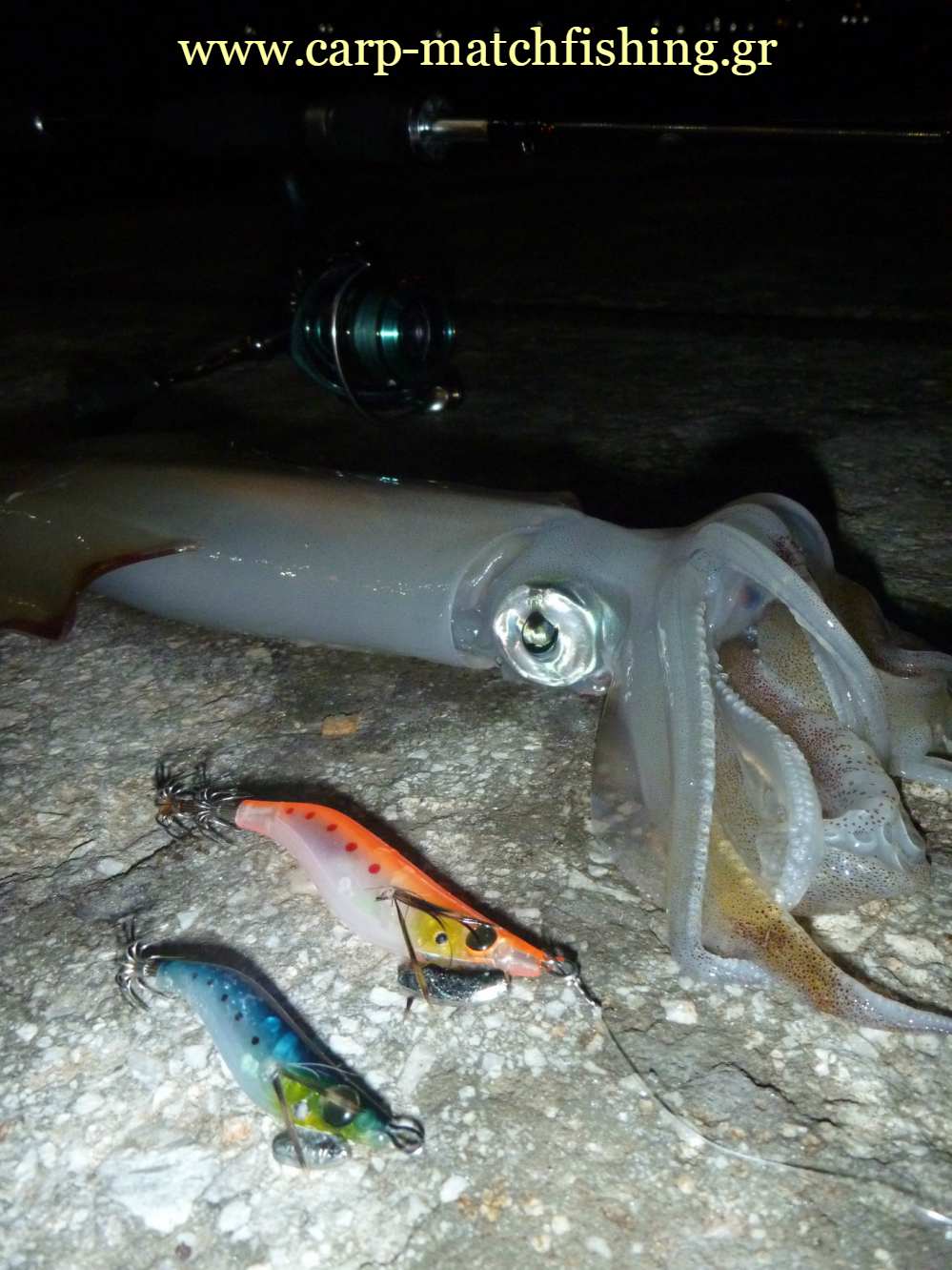 lrf-eging-squid-jigs-carpmatchfishing