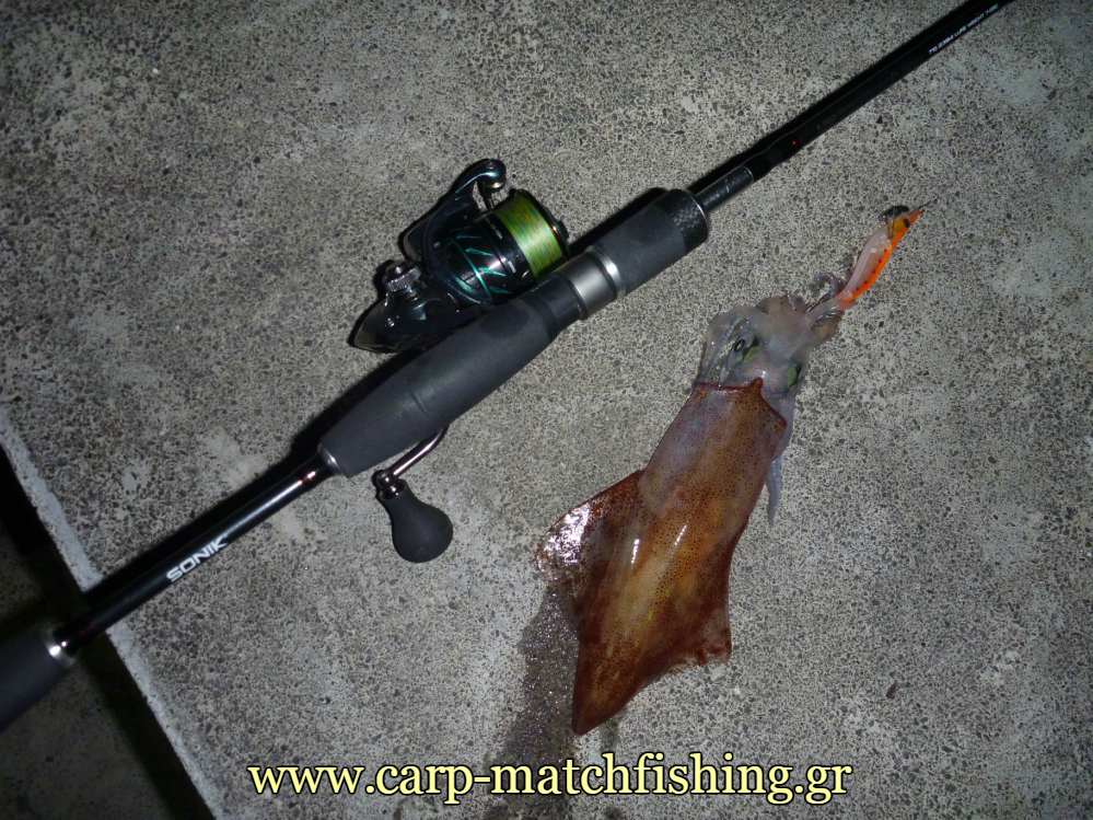 lrf-eging-rockrod-carpmatchfishing