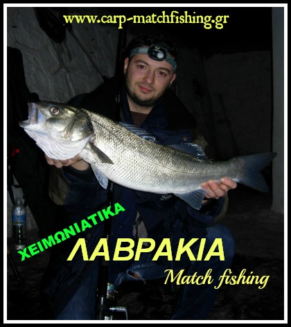winter-sea-bass-matchfishing