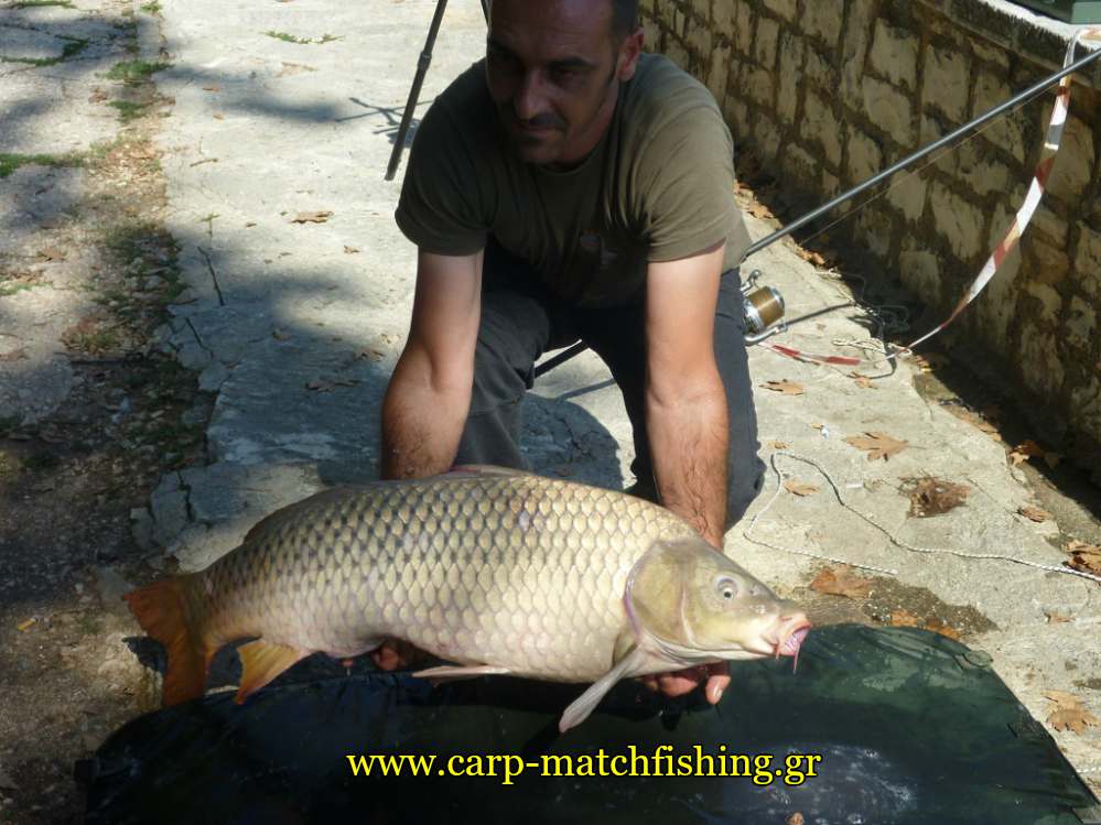 agonas-giannena-koy-kuprinou-carpmatchfishing