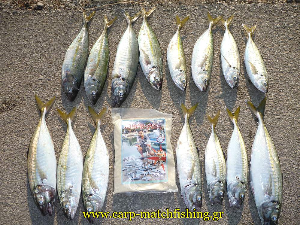 malagra-angry-fish-light-rock-carpmatchfishing