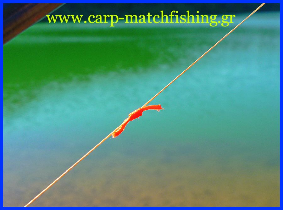 stoper-knot-www-carp-matchfishing-gr.jpg