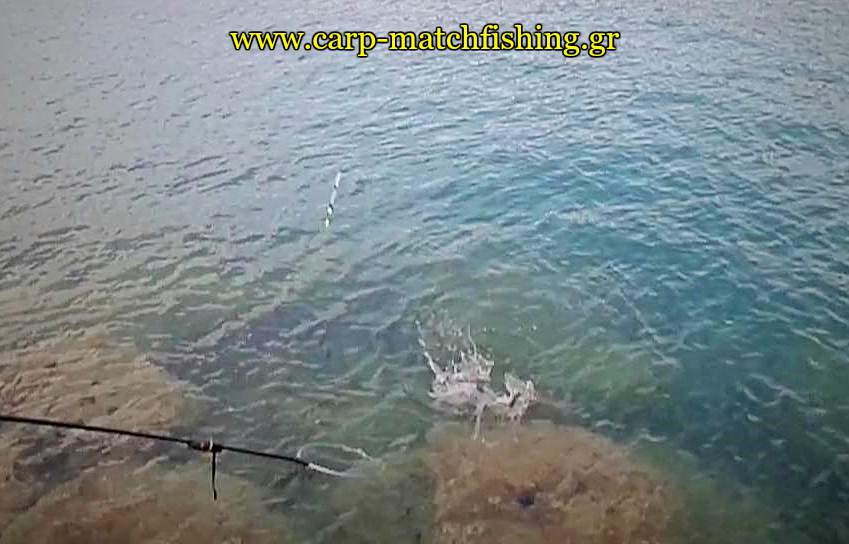 kefalos-apoxiasma-match-carpmatchfishing