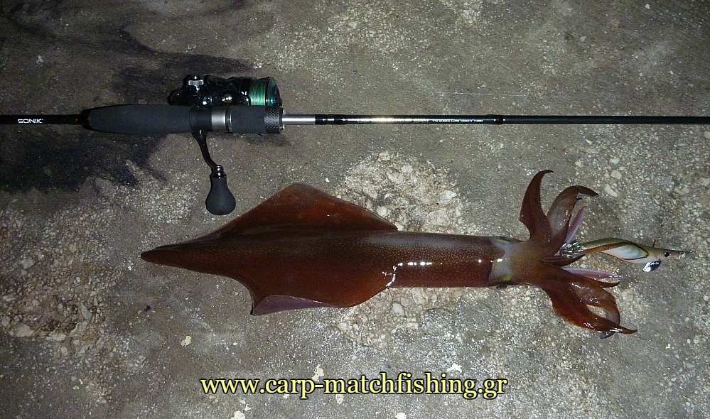 lrf-eging-lrfrod-squid-carpmatchfishing