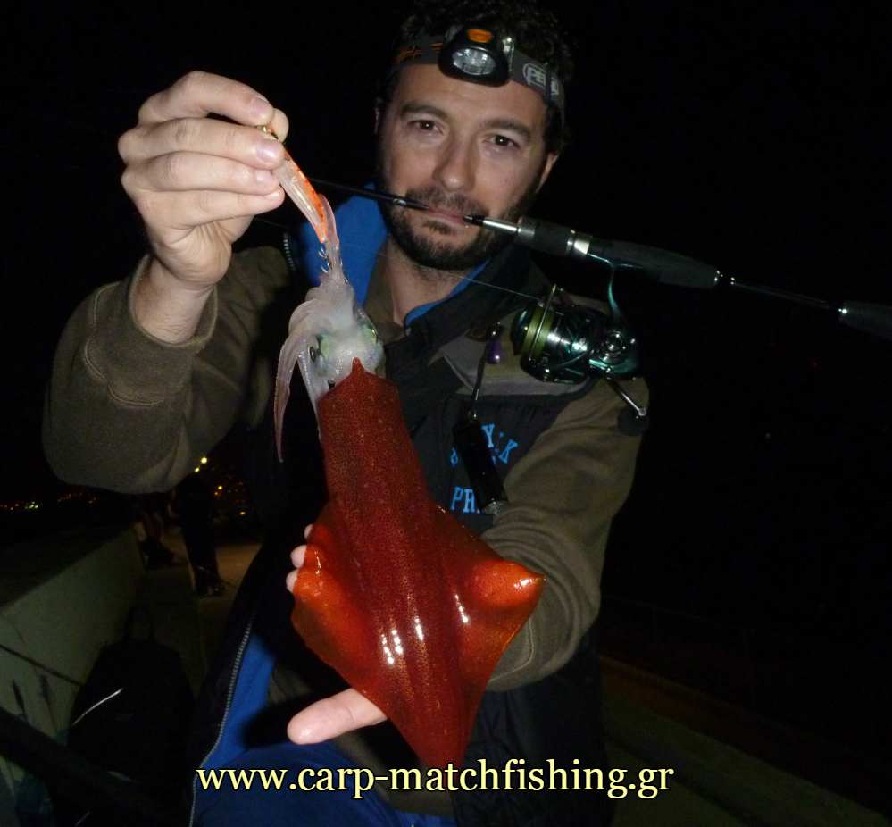 lrf-eging-littlesquid-carpmatchfishing
