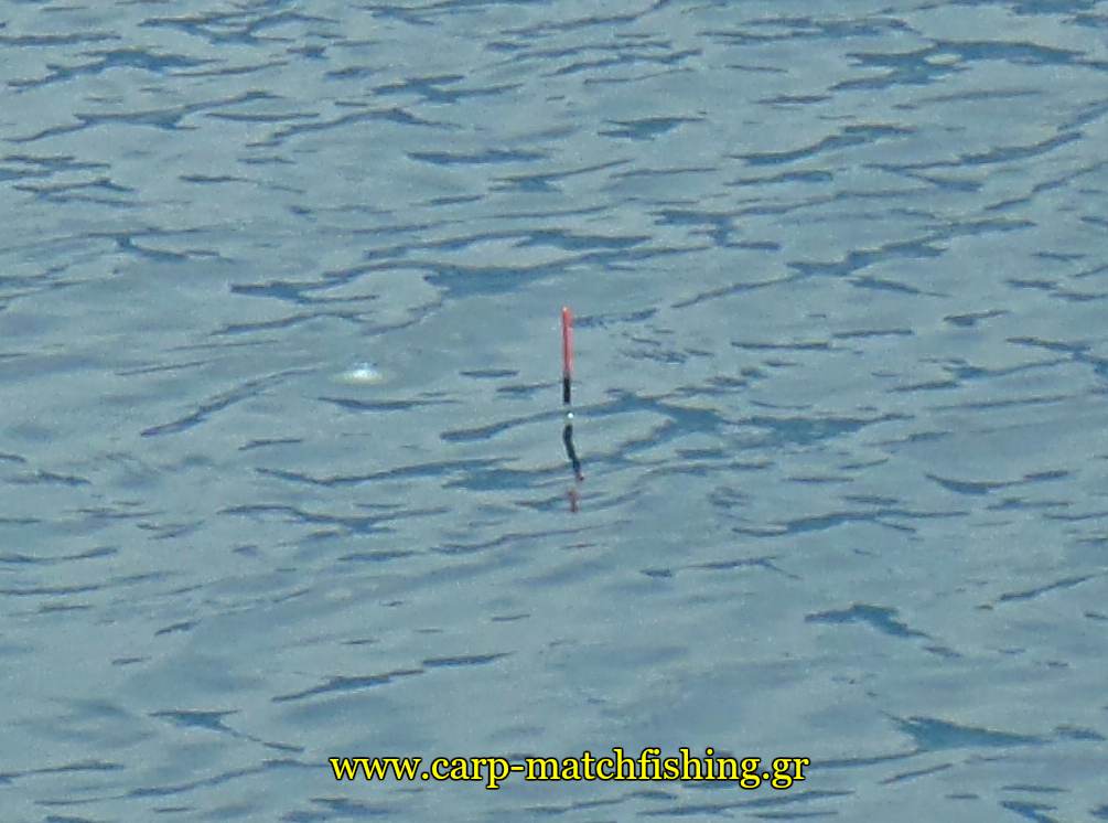 match-fishing-kefalos-waggler-carpmatchfishing