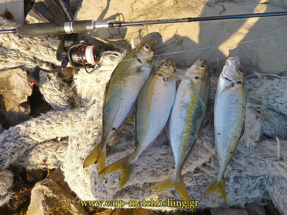 kokkalia-ajing-light-rock-malagra-down-carpmatchfishing
