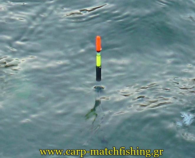 waggler-on-water-fishmania-floatline-carpmatchfishing