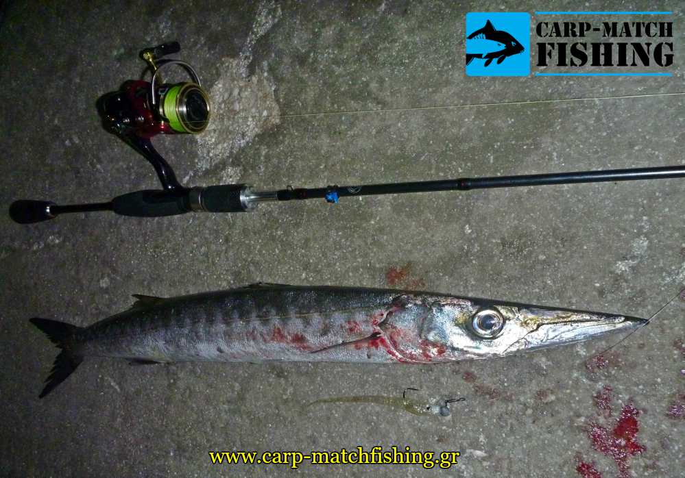 loutsos lrf silikones light rock fishing rod carpmatchfishing