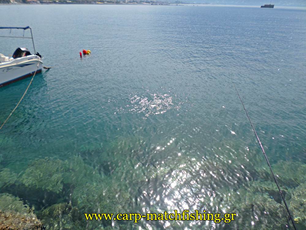 match-fishing-kefalos-limani-carpmatchfishing