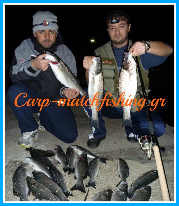 lavrakia on the drop match fishing