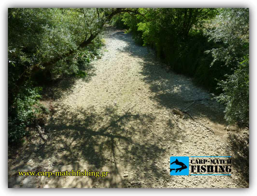 potami xvris potami carpmatchfishing