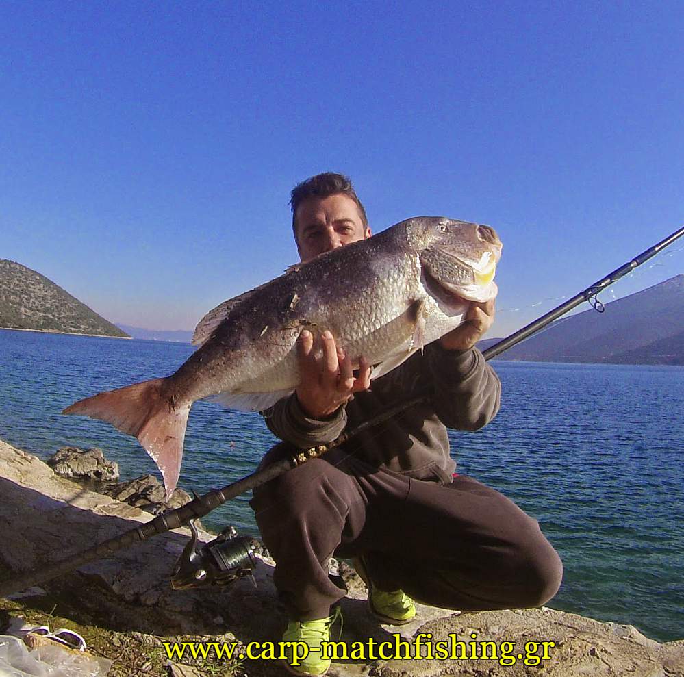 bait-boat-fishing-synagrida-carpmatchfishing