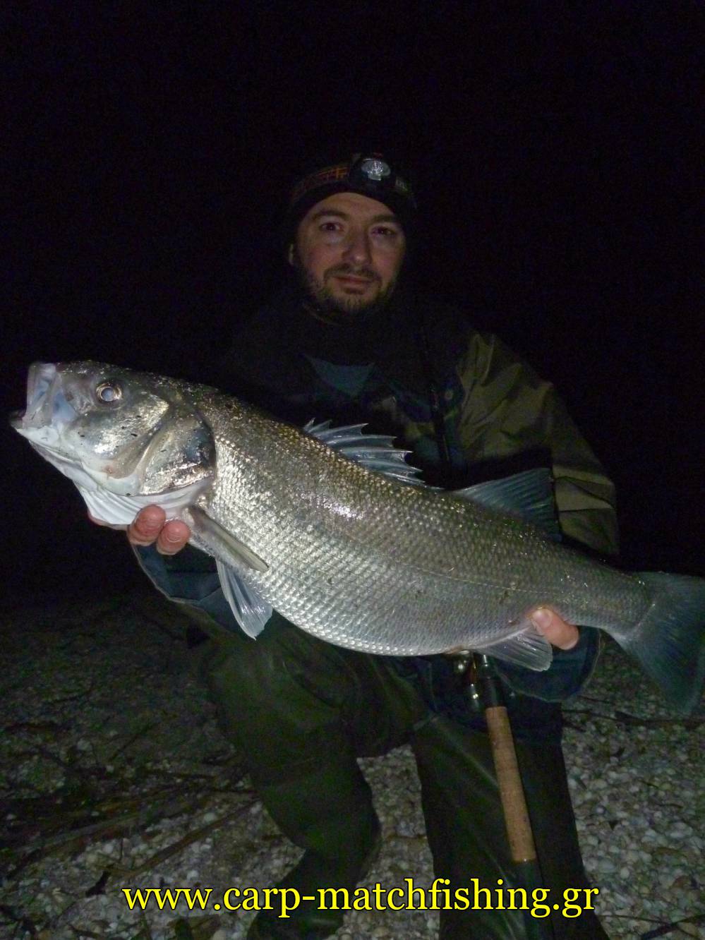 lavraki-sfaltos-malagra-angry-fish-carpmatchfishing
