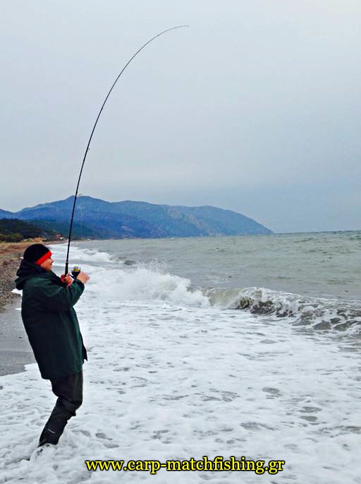 spinning-for-sea-bass-strike-at-waves-carpmatchfishing