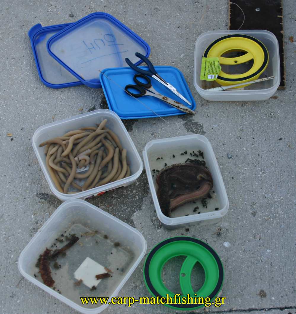 dolomata-casting-carpmatchfishing